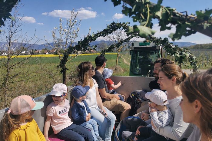 HALLOMANIA – Double chasse aux bonbons Vignes & Fluo, dégustation de vins à Soral, Autre lieu, Genève