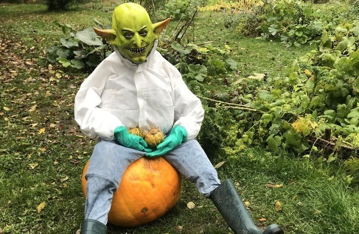 Halloween au Jardin des Plantes, Jardin des plantes, Lille