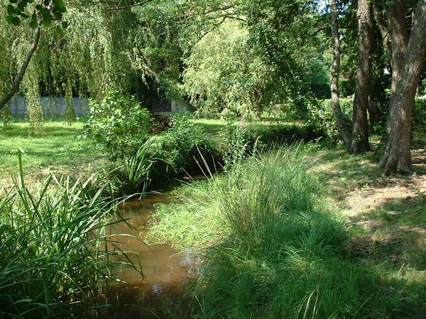 Histoire d’un ruisseau Andernos-les-Bains