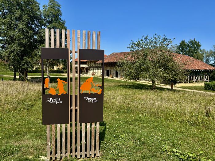 Information et atelier sur le bocage en Bresse, Ferme de la Forêt, Courtes