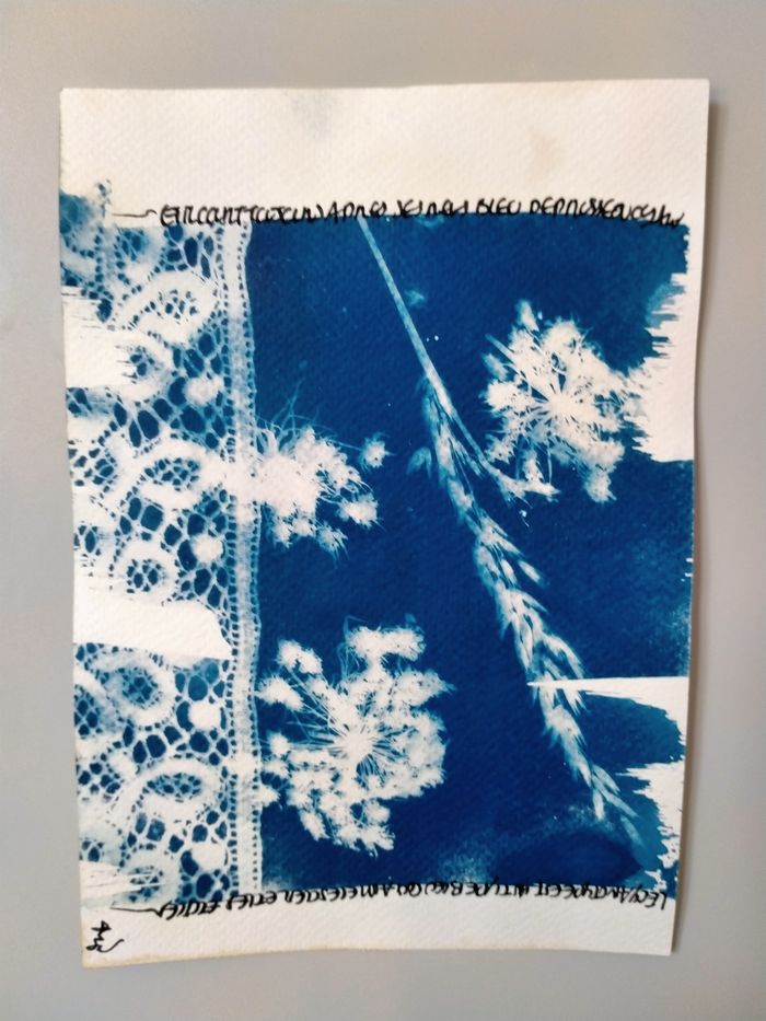 Initiation au cyanotype, Village de grandchamp, Charny Orée de Puisaye