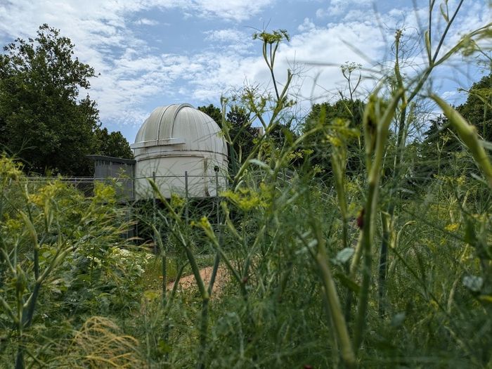 JARDIN VIVANT – BIODIVERSITÉ, Planétarium de Vaulx-en-Velin, Vaulx-en-Velin