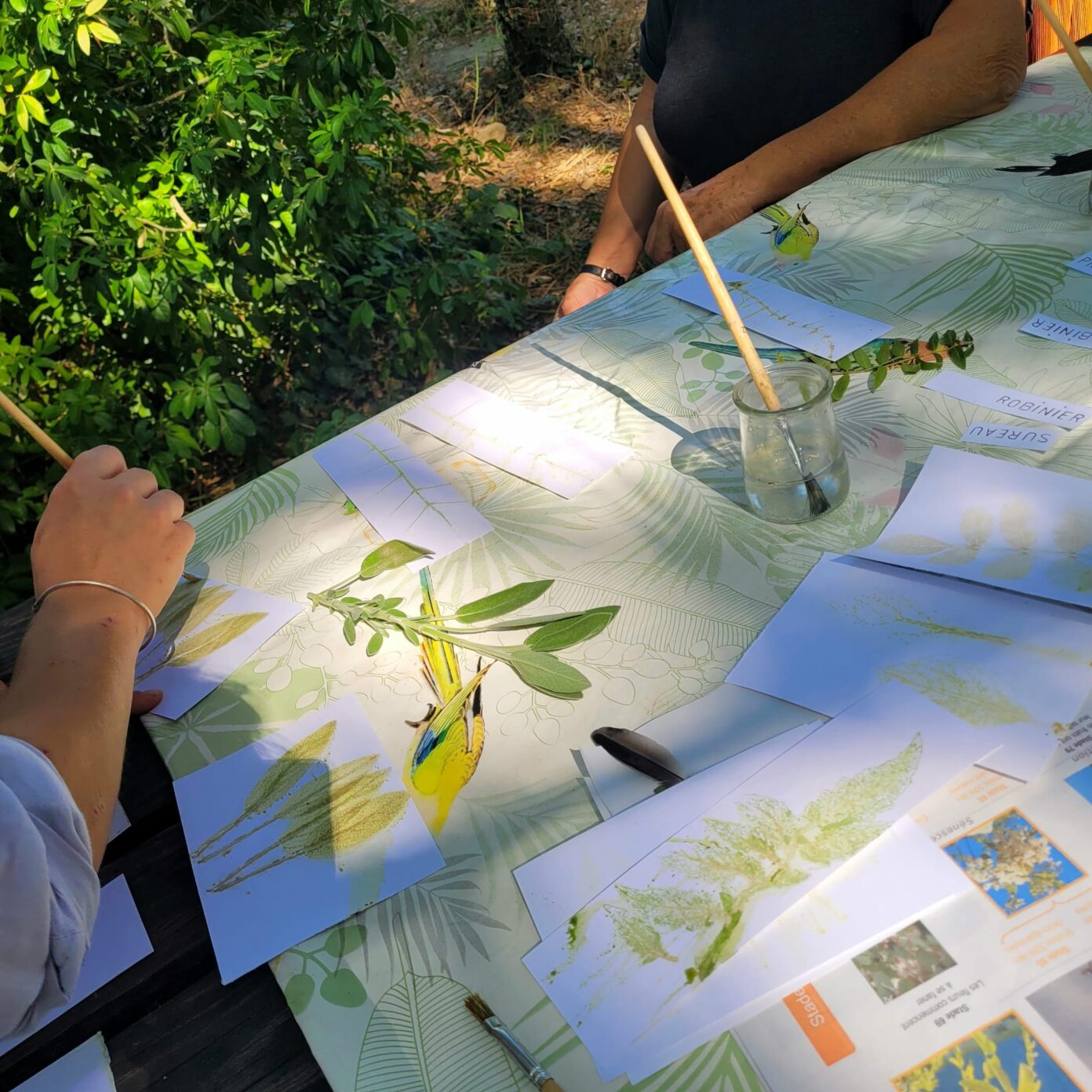 JARDINONS ENSEMBLE POUR FAVORISER LE LIEN SOCIAL ET LA SANTÉ MENTALE Lodève