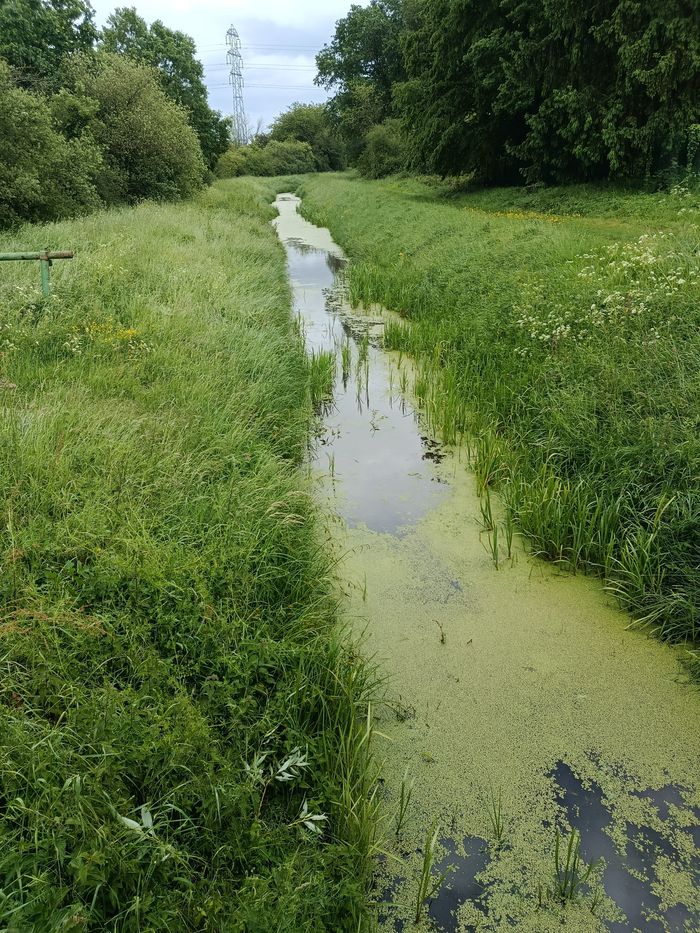 JeP – Balade au fil de l’eau à Coignières, Ville de Coignières, Coignières
