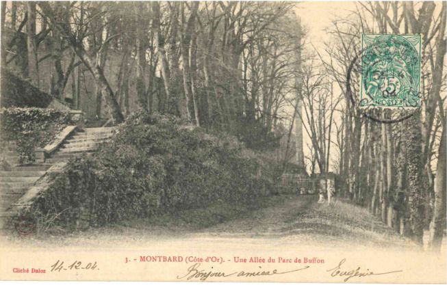Jeu de piste photographies anciennes du Parc Buffon, Musée et Parc Buffon, Montbard