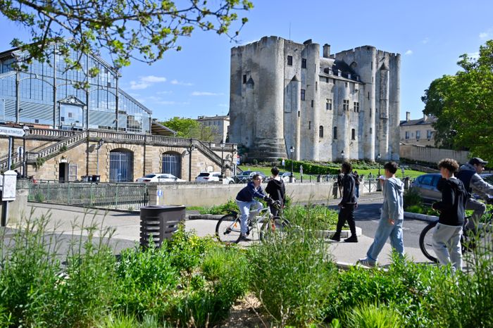 Jeu : levez les yeux au Donjon, Musée du Donjon, Niort
