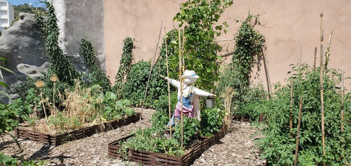 Jeu : sur les traces des savoir-faire oubliés, Jardin ethnobotanique et d’acclimatation « Les terrasses du Bosquet », Alès