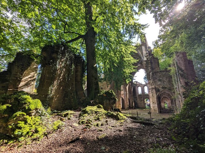 Journées du Patrimoine – Découverte de l’Abbaye de Trois-Fontaines, Abbaye de Trois-Fontaines, Trois-Fontaines-l’Abbaye