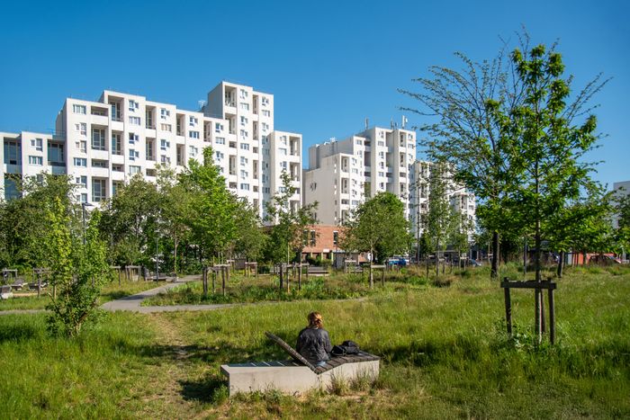 La maison de quartier Jacques Brel fête le patrimoine sur la place Léon Blum, Place Léon-Blum, Villeneuve-d’Ascq