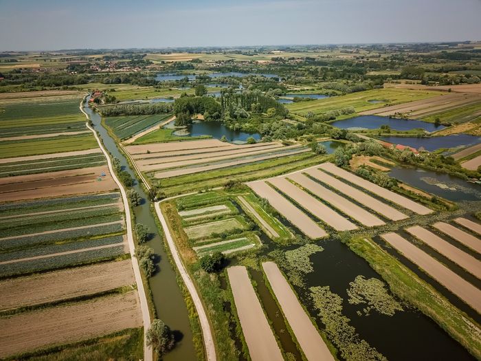La route du marais maraicher : visite guidée du marais Audomarois en bateau, Ô Marais by ISNOR, Clairmarais