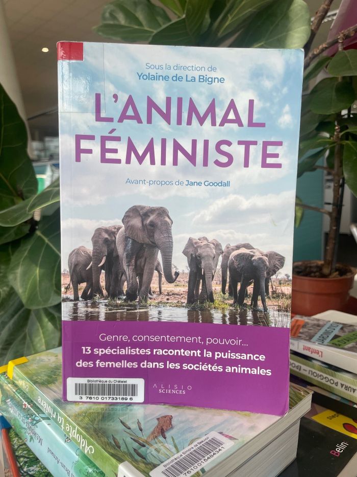 L’animal féministe, Bibliothèque Simone de Beauvoir, Rouen