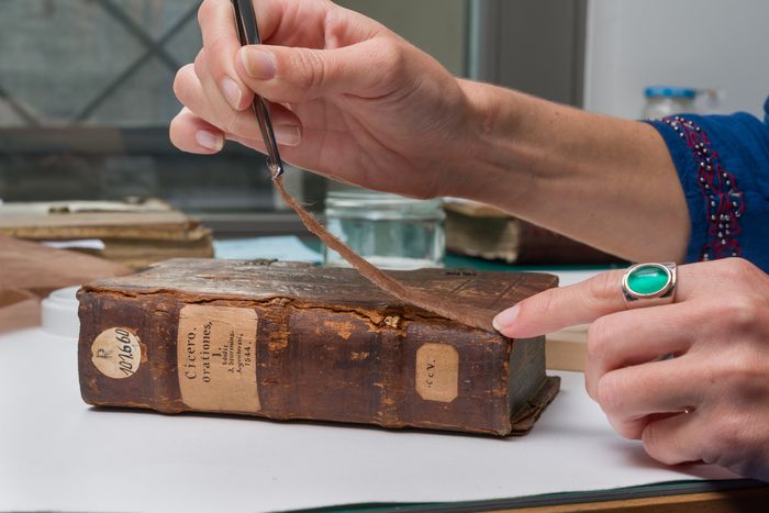L’atelier de restauration de la Bnu, Bibliothèque nationale et universitaire, Strasbourg