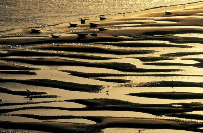 Laudato Si’ – Exposition de photographies de Yann Arthus-Bertrand, Fleury-les-Aubrais, église Saint-André, Fleury-les-Aubrais