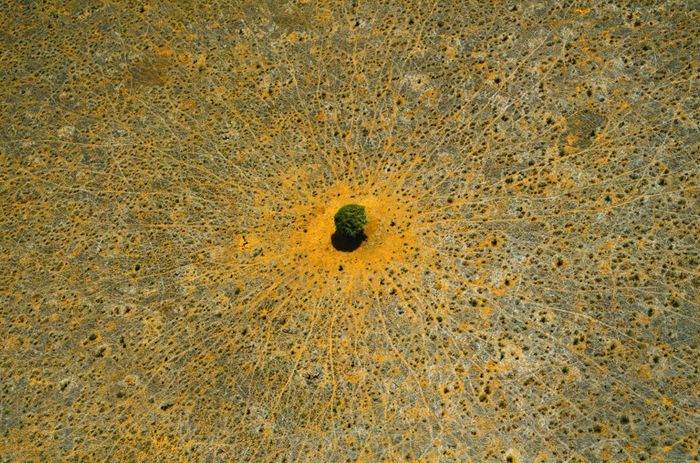 Laudato Si’ – Exposition de photographies de Yann Arthus-Bertrand, Orléans, église Notre-Dame de Consolation, Orléans