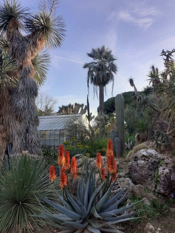 Le Jardin Olbius Riquier : visite sensorielle en LSF, Parc Olbius Riquier, Hyères