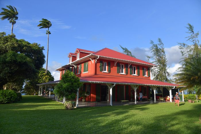 Le Macouba / Habitation Bellevue – Visite libre, habitation Bellevue, Macouba