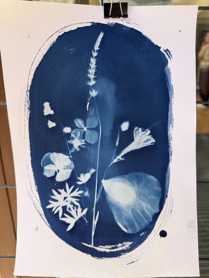 Le patrimoine vivant en cyanotype, Maison Jean Monnet, Bazoches-sur-Guyonne
