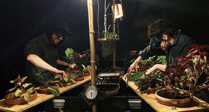 Le Zygophone, Relais de l’écluse, Maroilles