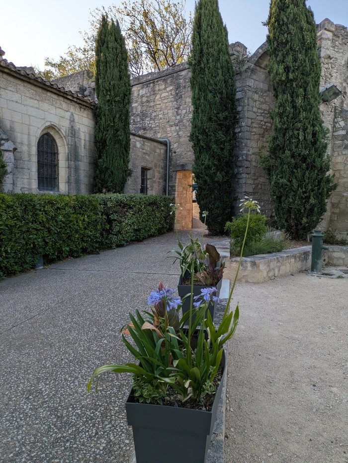 Lecture théâtralisée, Jardin de l’Eglise, Les Angles