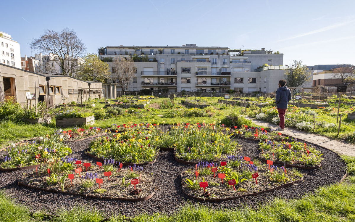 Les activités du Paysan Urbain Paris : le Programme de Septembre 2026 Le paysan urbain Paris