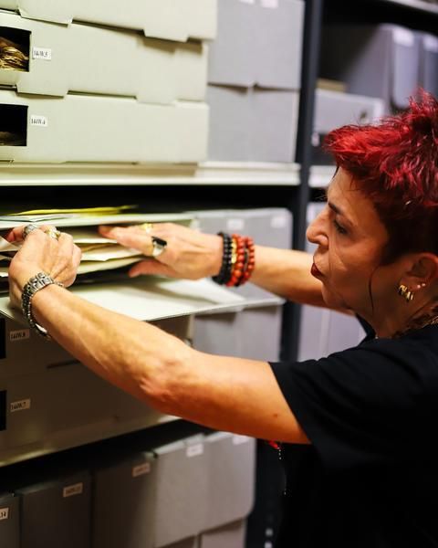 Les Archives Municipales de Cusset, dans les coulisses de la mémoire, Bibliothèque et archives municipales de Cusset, Cusset