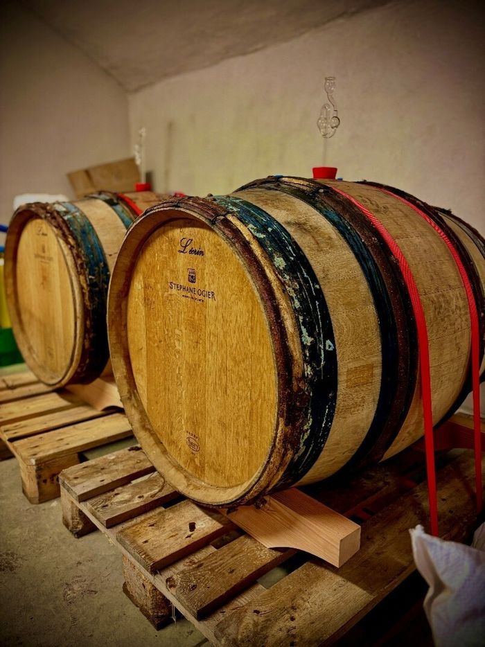 « Les Bières du Solstice », La Brasserie Georges, Lyon