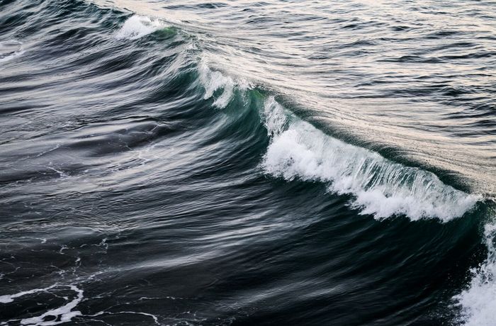 Les échappées inattendues du CNRS : faire des vagues, Bibliothèque Antipode, Rennes