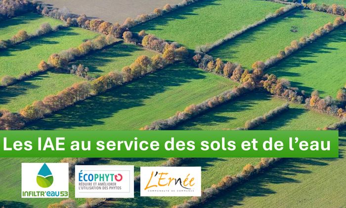 Les Infrastructures agroécologiques (IAE) au service des sols et de l’eau (53), Ernée (53), Ernée