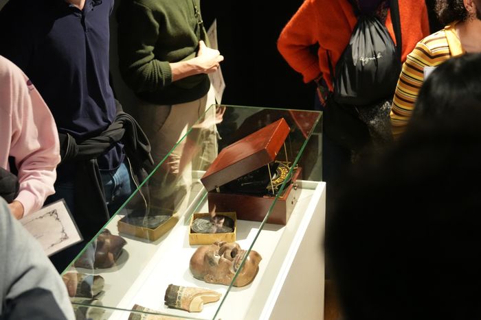 Les Journées Européennes du Patrimoine 2026 au musée, Musée des Arts Précieux Paul-Dupuy, Toulouse