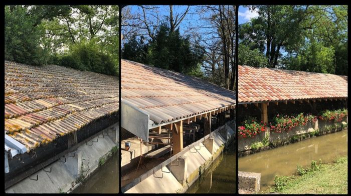 Les Lavoirs : illustration d’un sauvetage, Centre Culturel, Saint-Didier-sur-Chalaronne