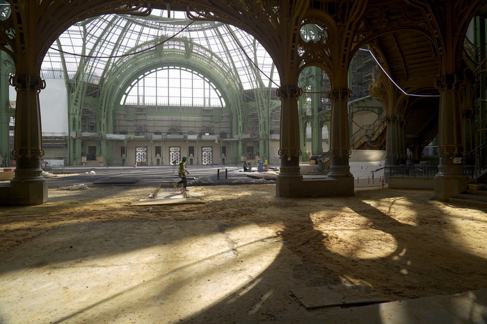 Les Métamorphoses du Grand Palais, Le Grand Palais, Paris