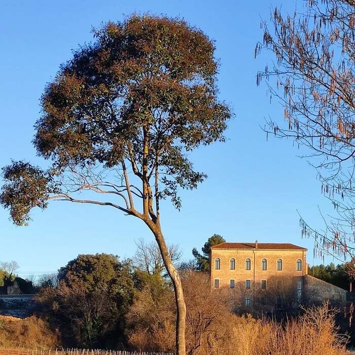 Les moulins de la Bastide Sainte Cecile des Arcs – Ecomusée de l&rsquo;Olive, Bastide Sainte Cecile, Les Arcs