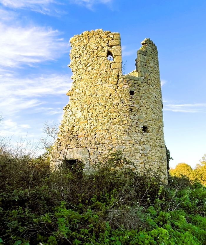 Les moulins en région nazairienne, Salle Prométhée, Saint-Nazaire
