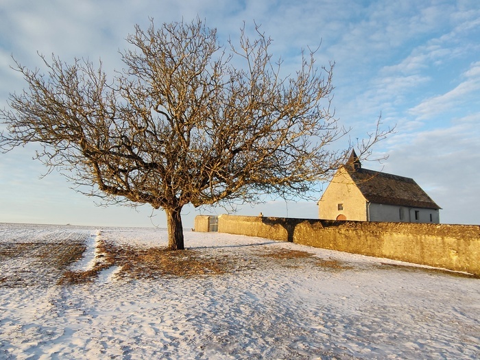 Les petits secrets d’une église rurale, Église Sainte-Madeleine, La Madeleine-Villefrouin
