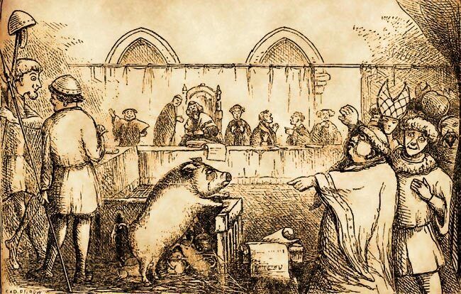 Les procès des animaux à travers l’histoire, Maire de Veretz – salle des mariages, Véretz