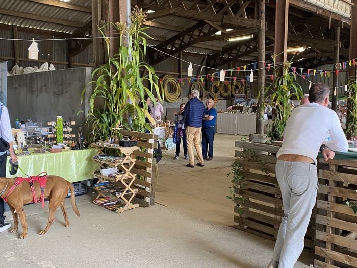 Marché du terroir pour découvrir des producteurs et artisans locaux, Vivre à Vany, Vany
