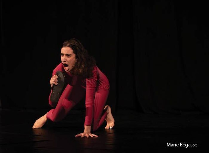 Mardi de l’art : Le Neuf Neuf festival, Médiathèque José Cabanis, Toulouse