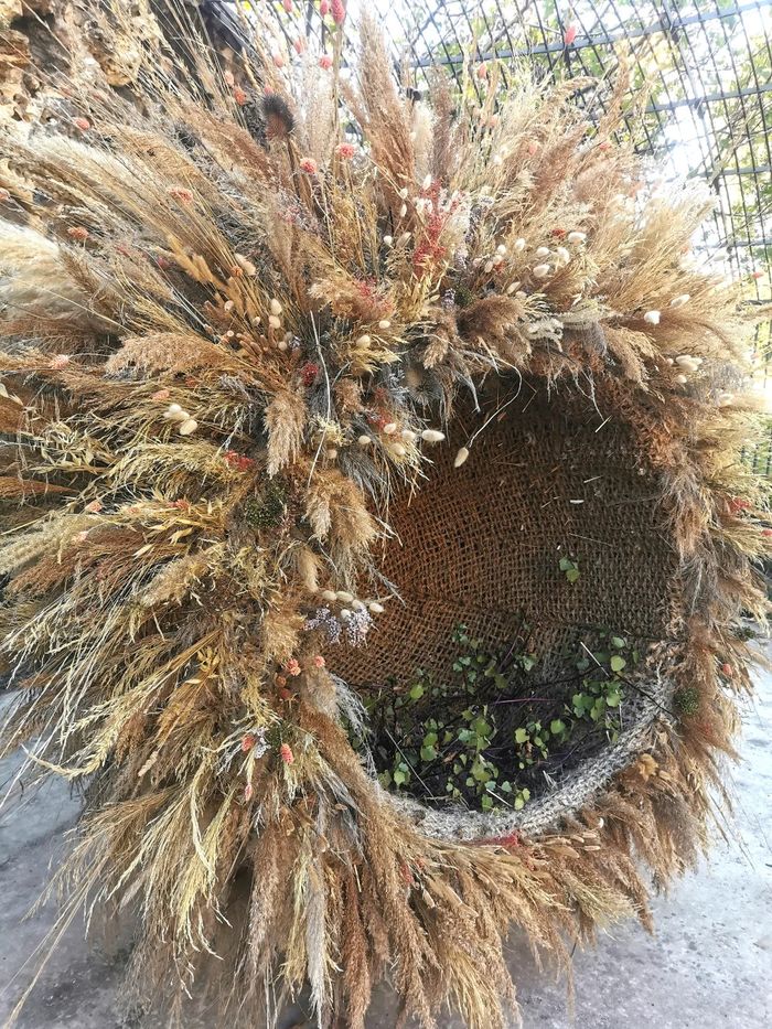 Nid en Herbes – Une œuvre végétale participative, Le jardin d’Armagnac, Brest