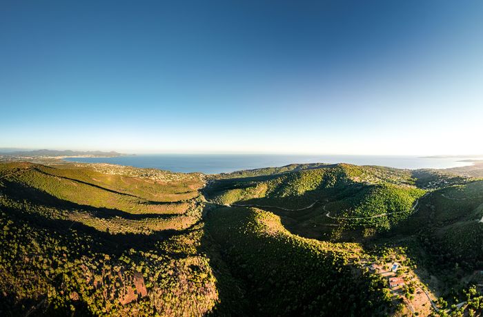 Notre forêt : « Les plantes du feu », La Gaillarde, Roquebrune-sur-Argens
