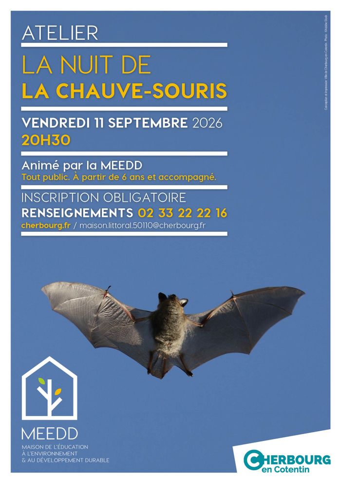 Nuit de la chauve-souris, maison de l&rsquo;EEDD cherbourg en cotentin, Cherbourg-en-Cotentin