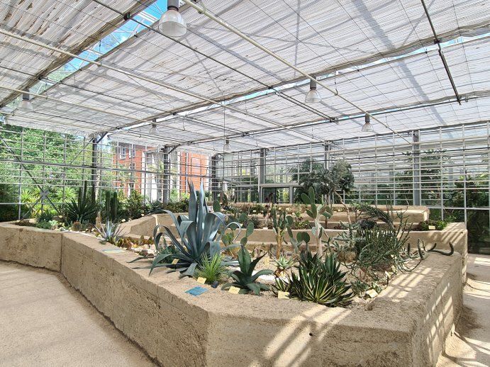 Ouverture des serres et visites guidées en continu, Jardin des plantes, Lille
