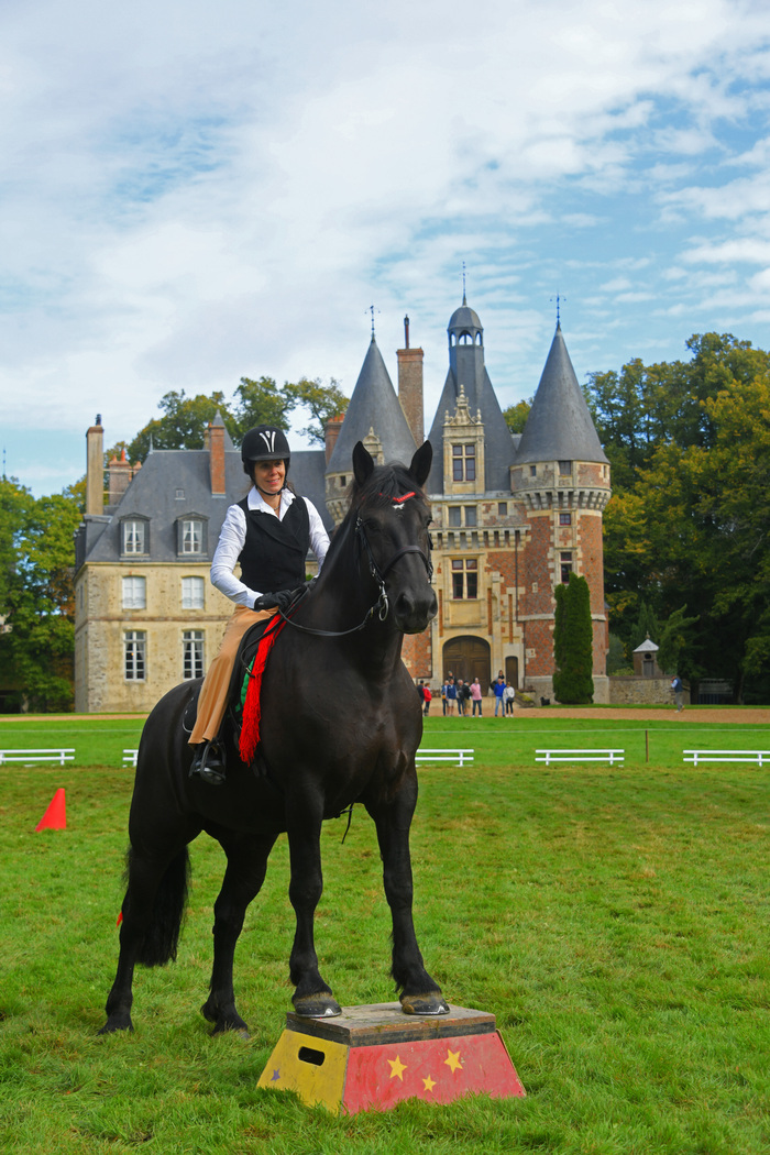Parcours photographique sur le cheval percheron, Château de Saint-Agil, Couëtron-au-Perche