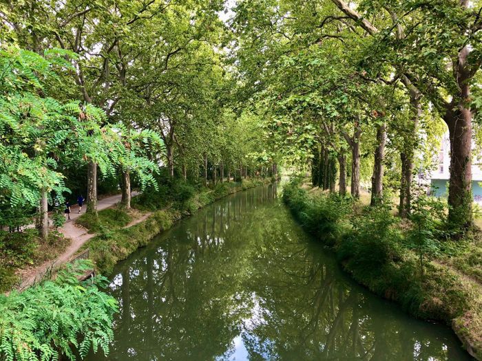 Parcours : Un canal, différents paysages, Place Olin-Chatelet, Toulouse