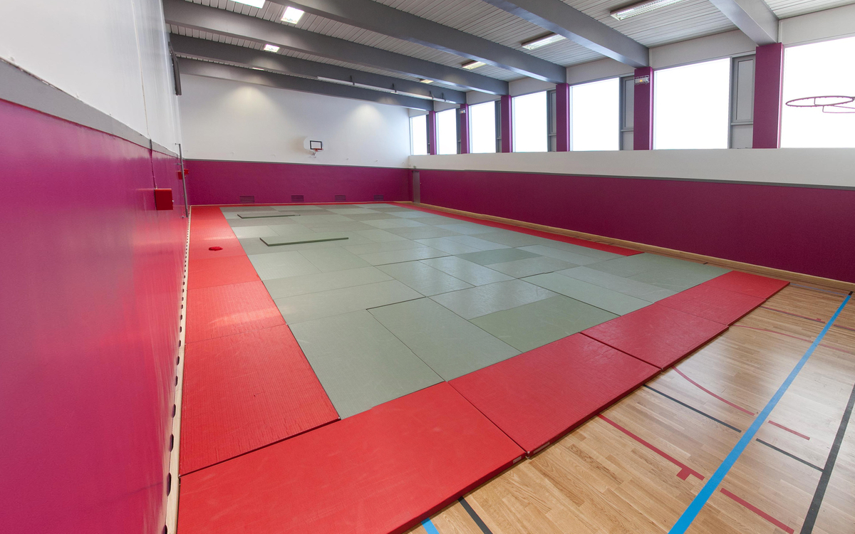 Paris sport familles : multisports au gymnase Atlas Gymnase Atlas PARIS
