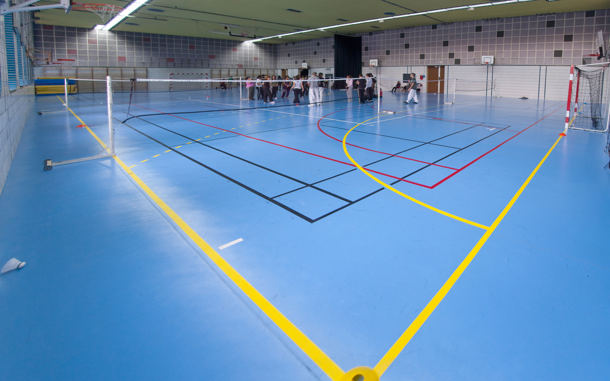 Paris sport proximité : initiation multisports au gymnase Cour des Lions Gymnase de la Cour des Lions PARIS