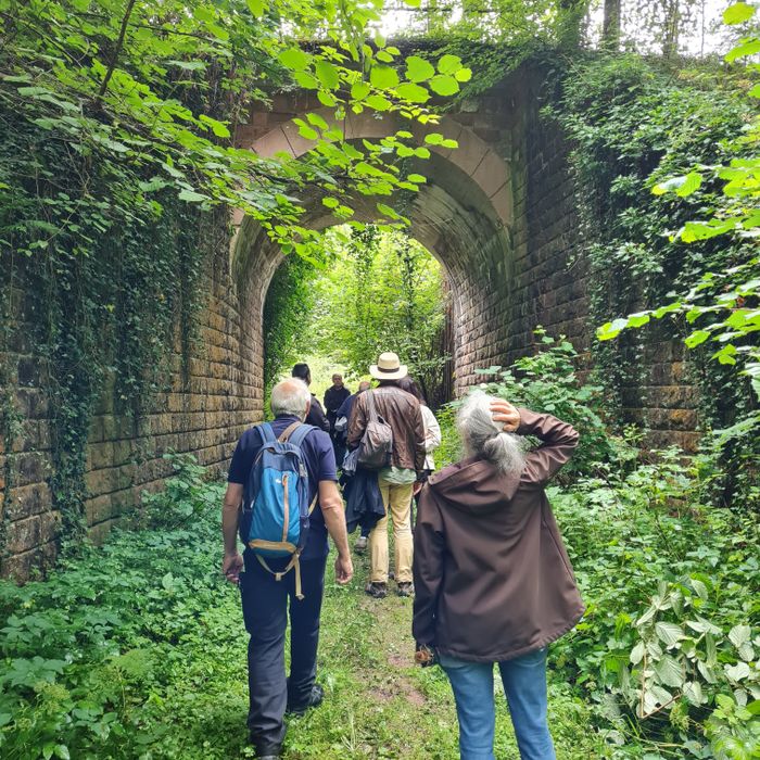 Partez à la découverte d’un ouvrage d’art unique, témoin de l’histoire ferroviaire., Ravin du Grébier, Bruyères
