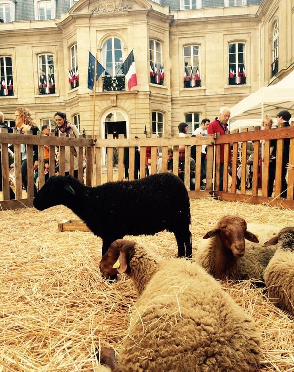 Patrimoine naturel : immersion dans une ferme pédagogique, Hôtel d’Augny – Mairie du 9e arrondissement, Paris
