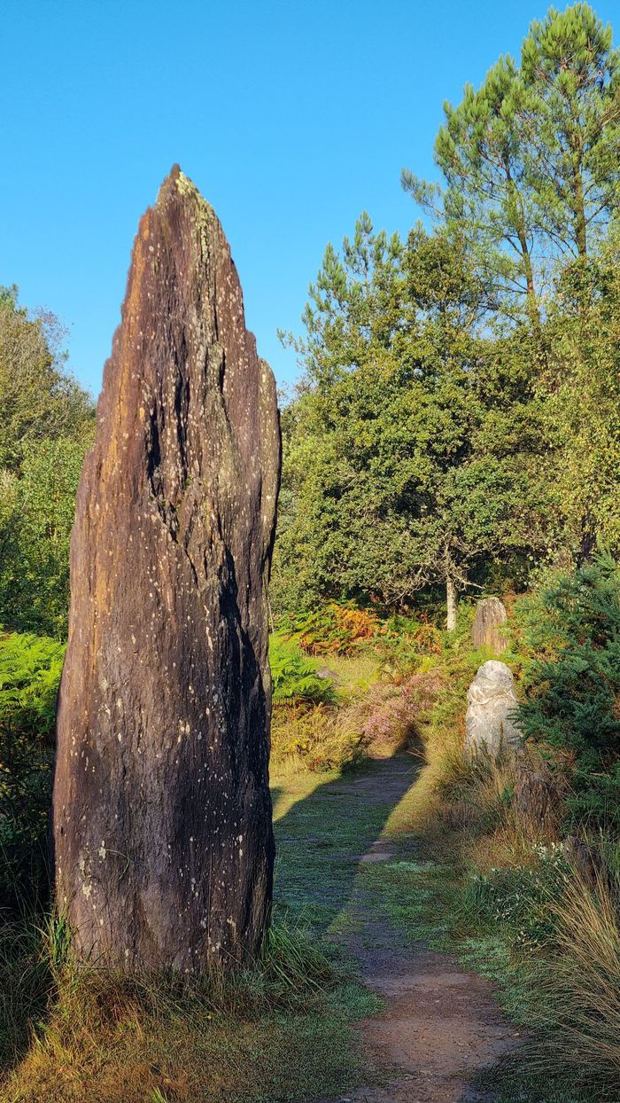 Pioche ton caillou !, Site des Menhirs de Monteneuf, Monteneuf