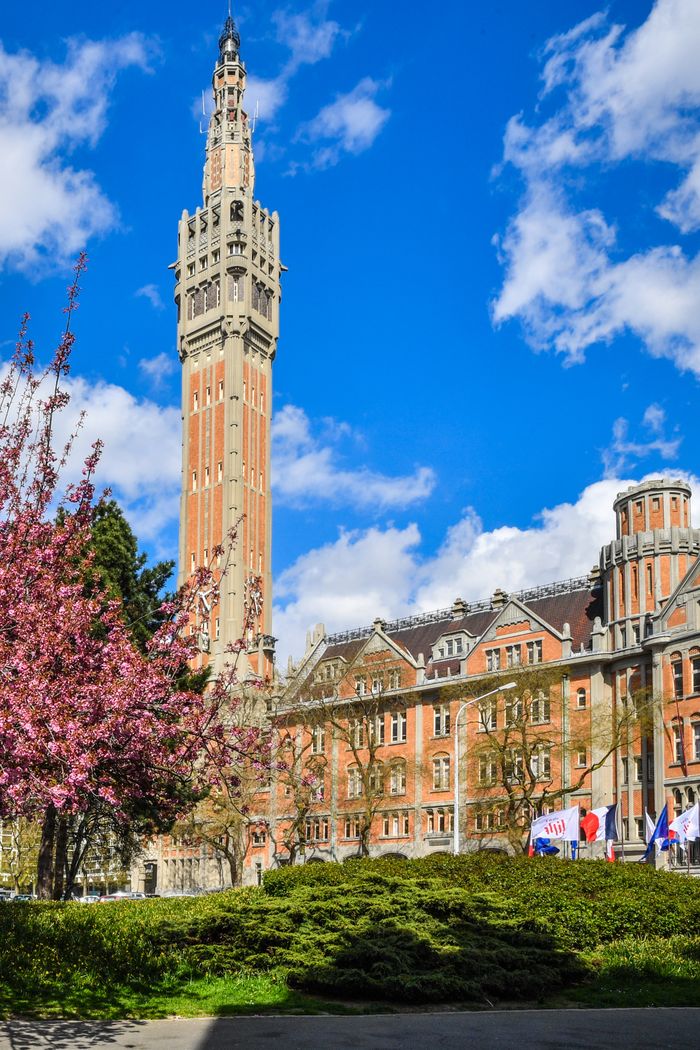Portes ouvertes à l’Hôtel de Ville : Focus sur les jeunes publics, Hôtel de ville, Lille