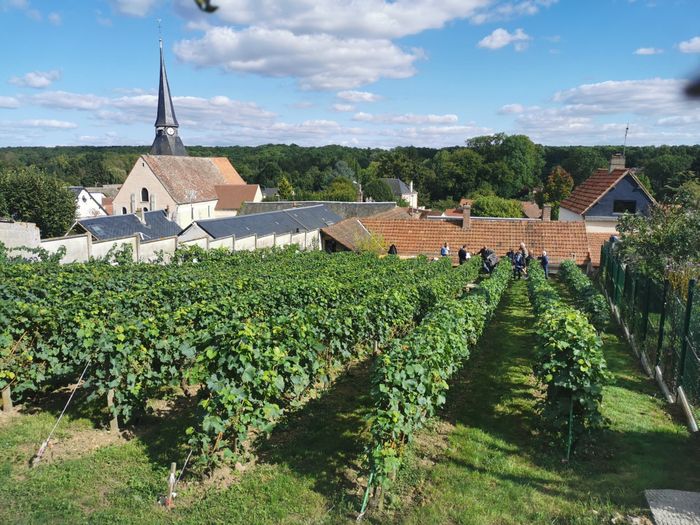 Portes ouvertes de la vigne pédagogique de Saint-Prest, Vigne de Saint-Prest, Saint-Prest